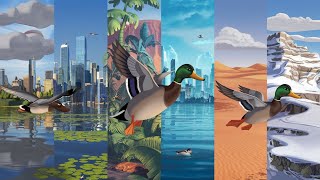 Migration Story For Kids