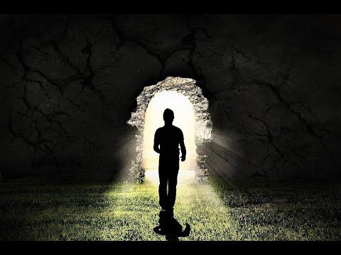 სულის უკვდავების შესახებ. - აქვს თუ არა ცხოველებს სული - თეოლოგი ზურაბ ეკალაძე