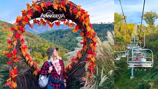 Gatlinburg's Anakeesta Vlog 2022! Bears, Chondola Ride, Treetop Skywalk at Night, BBQ & More!