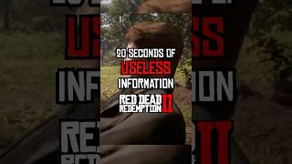 20 Second of Useless Information about RDR2 #rdr #rdr2 #reddeadredemption2