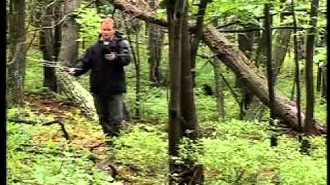 Life in Cold Blood - Snakes 6 of 6 Sophisticated Serpents