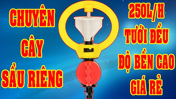 Béc phun mưa chuyên cây sầu riêng và cây lâu năm.