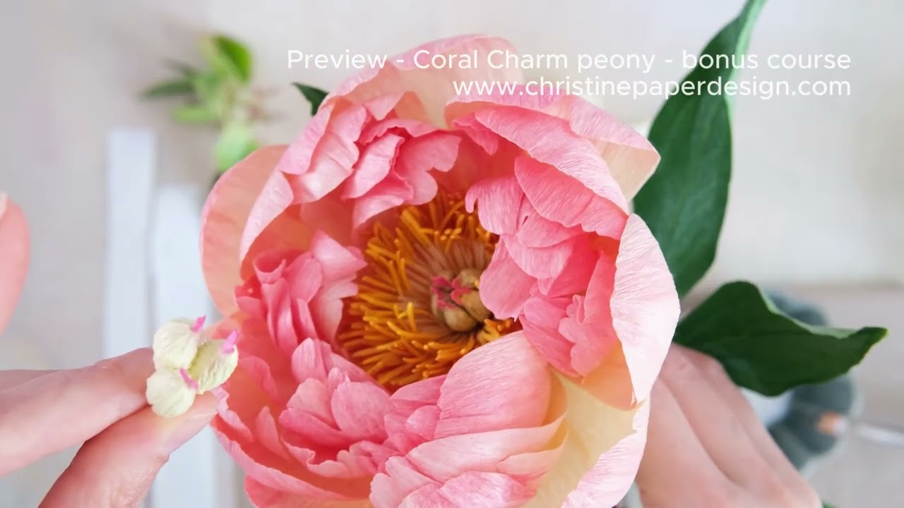 Coral Charm paper peony - online course. Preview!