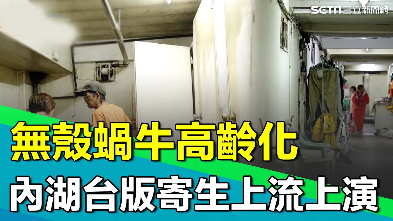 無殼蝸牛高齡化 住不起的世代！內湖老舊公寓如台版「寄生上流」上演！地下室住著一群獨居老人..｜【台灣新思路】94要賺錢