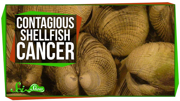Solar-Powered Plane and Contagious Shellfish Cancer