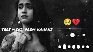 Teri Meri Prem Kahani | [Monira Kausar] | Feelers Music 🥹💔