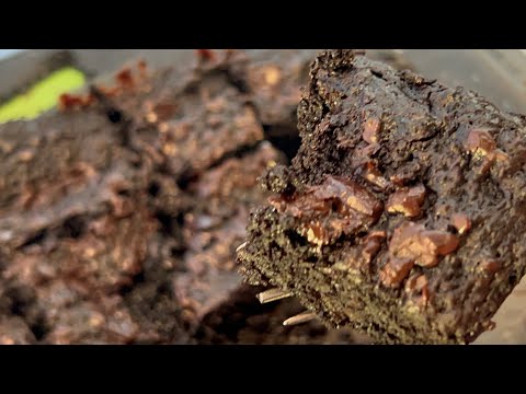 Шоколадный брауни из яблок за 5 минут.  В микроволновой печи.