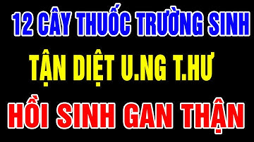 Kỳ Lạ GAN THẬN Yếu Đến Mấy Cũng Hồi Sinh Trở Lại Sau 1 Đêm Nhờ 12 Cây Thuốc Nam Mọc Quanh Nhà Này