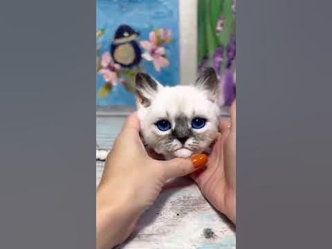 Зачем эти нитки? - YouTube