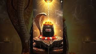 #shivabhakti#Sahasranama#Stotram🙏#1000Names#LordShiva#powerful  #DevotionalChant#Shorts#bhakthisongs