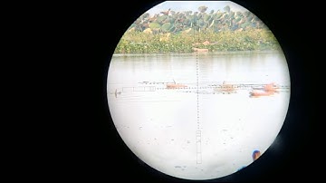 BERBURU BELIBIS POIN (45 EKOR) DI WADUK SRING SRING PULAU KAREPMU