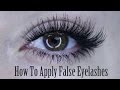 How To Apply of False Eyelashes (Strip Lash, Individuals & Bottom Set) | Shonagh Scott