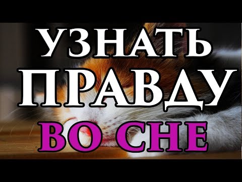 Заклинание чтобы узнать правду во сне 🔮 - Маг Fose