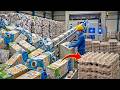 Proceso De Producción Que Transforma Cartones De Leche En Útiles Cajas De Huevos | fabricación