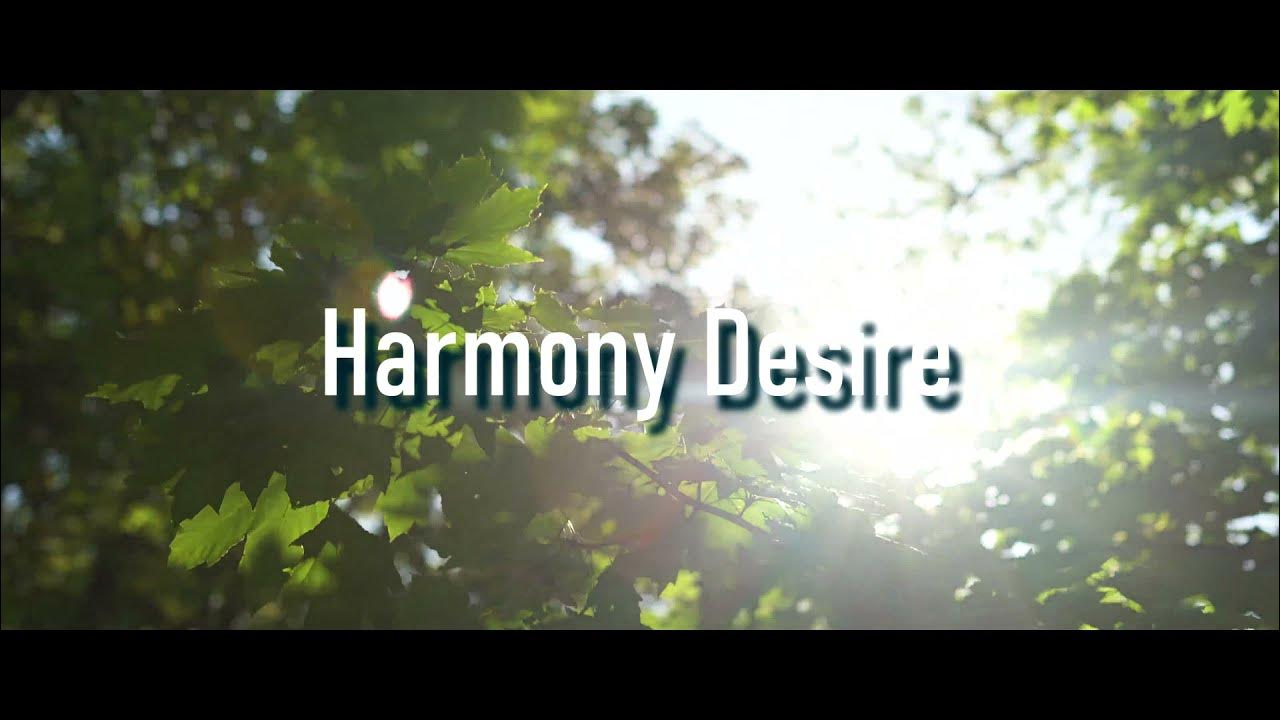 Fabbro - Harmony Desire | Ambient | Chillout| #fabbro #harmony #desire Fabbro - Harmony Desire | Ambient | Chillout| #fabbro #harmony #desire