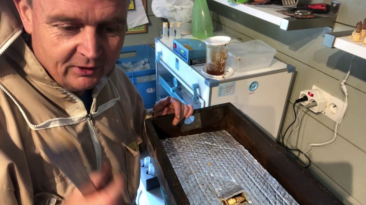 Finishers to Incubator !