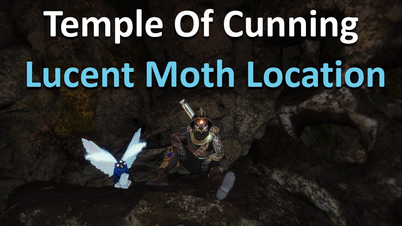 Destiny 2- Temple of Cunning Lucent Moth Location!
