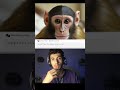 Generate images in real time with AI | Decohere AI