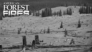 The Birth of Public Lands | American Forest Fires | EarthX