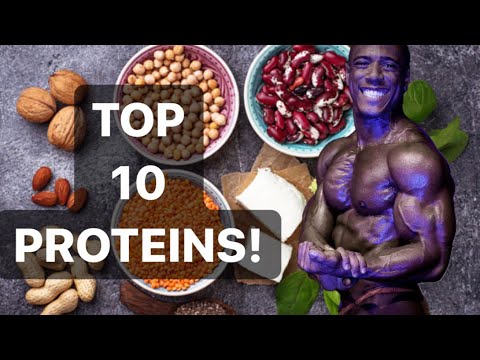 10 MOST EFFECTIVE PROTEINS!