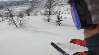 Jan 5 2021 Stellar Heliskiing