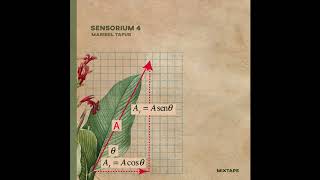 Sensorium Mixtapes #004 (Ambient | Soundscapes | Experimental)