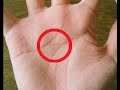 【衝撃】1つでもあればスゴイ!滅多に見ることの出来ない激レアな珍しい手相 よく見ると とんでもない手相!今すぐ確認!