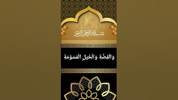 زُيِّنَ لِلنَّاسِ حُبُّ الشَّهَوَاتِ | القارئ أسامة عطران