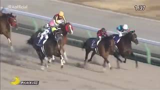 競馬/ルヴァンスレーヴ】第19回 チャンピオンズカップG1 2018年