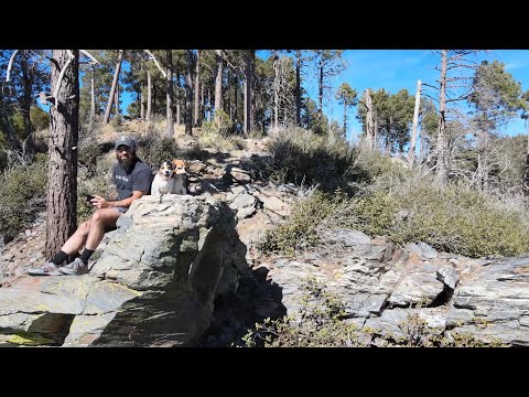 Hike: My dogs and I in Coronado National Forest Arizona November 12, 2025