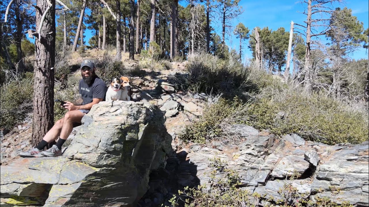 Hike: My dogs and I in Coronado National Forest Arizona November 12, 2025