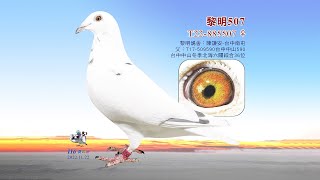 【陳謙安】T22-885507
