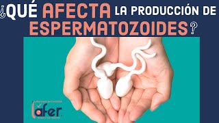 Qué Factores Afectan La Producción De Espermatozoides? Laboratorios Láfer