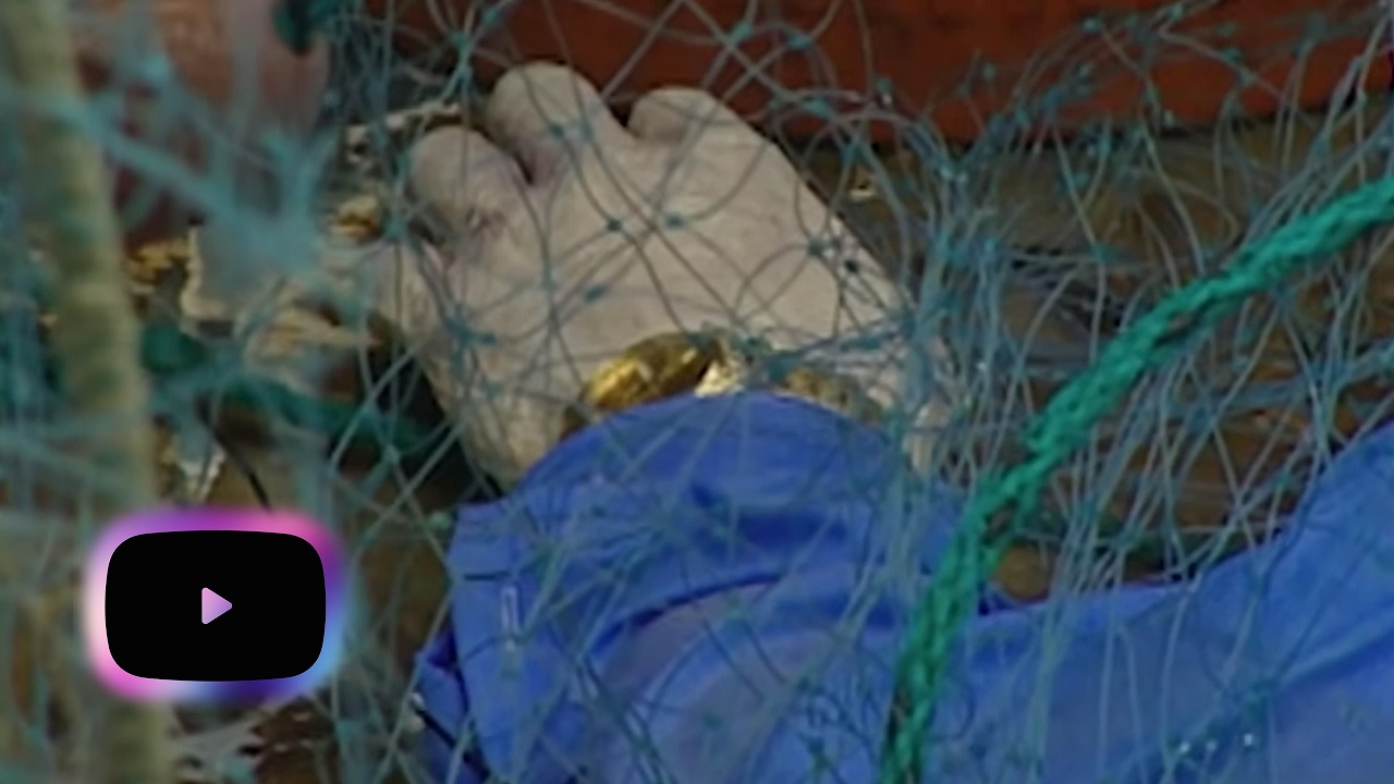 The Rolex That Solved a Murder