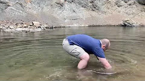 AR15 Realistic Torture Test