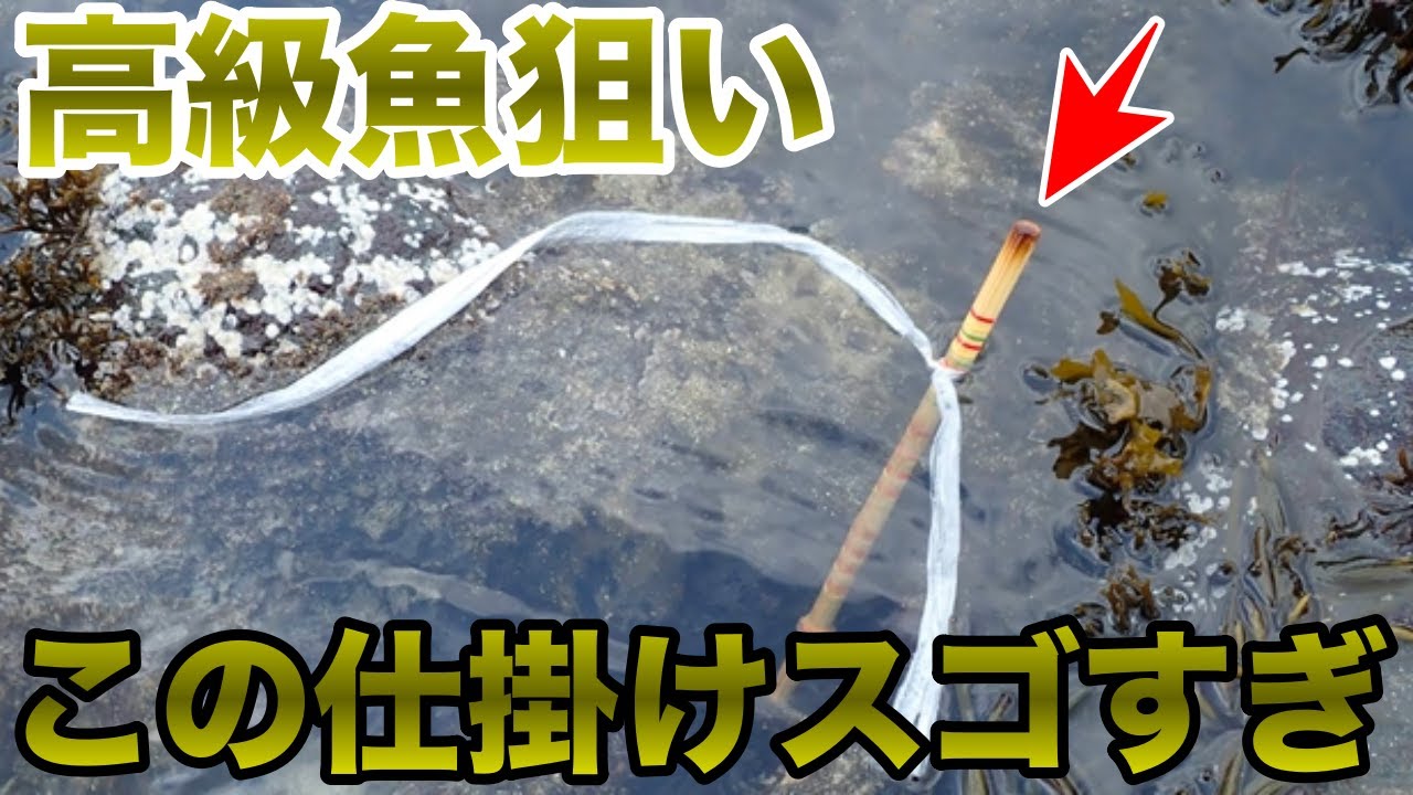 ギンポ の釣り方講座 天ぷらが絶品の高級魚を自作の釣り竿でお手軽穴釣り Tsuri Hack 釣りハック