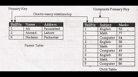 CH # 4 (1) Data Integrity, Entity Integrity, Refrential integrity inter part 1 in urdu.