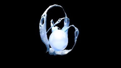 A couple tips on how to get void tracers - Warframe guide