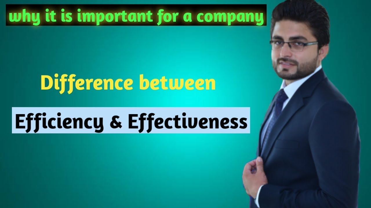 Difference between efficiency effectiveness hindi urdu english