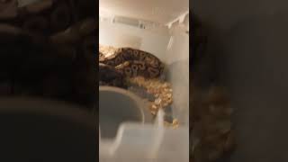 October 29, 2024 Profile