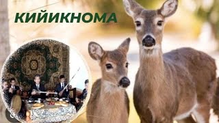 Рустам Хожи Нумонов Кийикнома