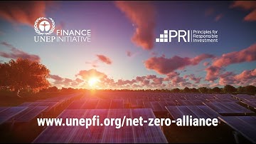 Asset Owner Alliance: One Year On