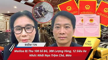 Điểm Tin 28/11: Mailisa Bị Thu 100 Sổ Đỏ, 300 Lượng Vàng, 12 Siêu Xe/ Nhức Nhối Nạn Trộm Chó, Mèo