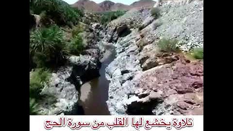 سورة الحج بصوت القارئ سعيد العلوي