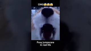 Omg Foxy Jumpscare In Real Life😱😱😱#Meme #Fnaf #Foxy #Jumpscare #Stickman44