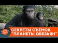 Революцию на Майдане показали в "Планете обезьян"? Самое интересное о легендарной кинотрилогии —ICTV