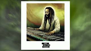 [FREE] "ONE NATION" | Reggae Roots Modern Jamaican Type Beat 75bpm