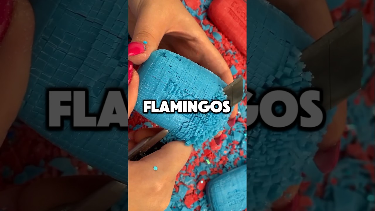 5 Random Fun Facts...✅