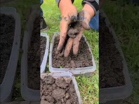 Video: ¿Qué suelo se satura rápidamente?