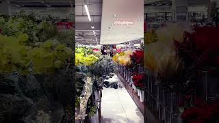 ๐๐บArtificial flowers that look so real they're beautiful #simplicity #youtubeshorts #travel #flowers ๐๐บArtificial flowers that look so real they're beautiful #simplicity #youtubeshorts #travel #flowers